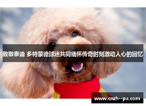 致敬泰迪 多特蒙德球迷共同缅怀传奇时刻激动人心的回忆