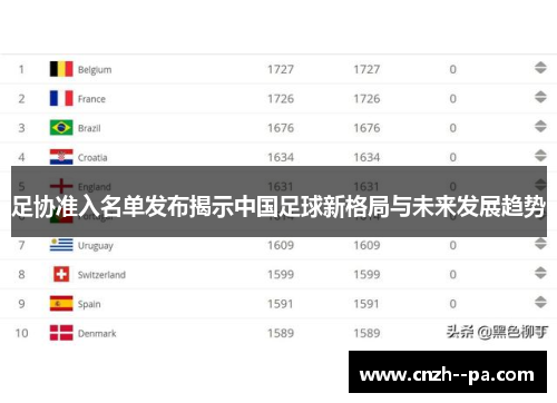 足协准入名单发布揭示中国足球新格局与未来发展趋势