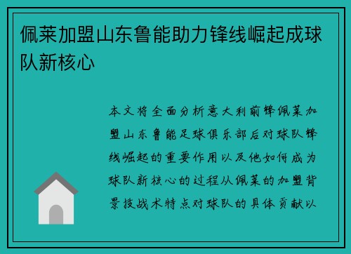 佩莱加盟山东鲁能助力锋线崛起成球队新核心 佩莱加盟山东鲁能助力锋线崛起成球队新核心